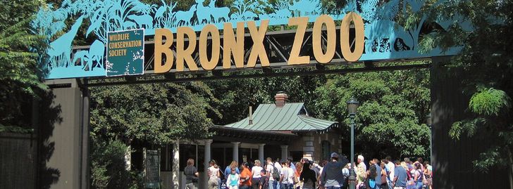 bronx-zoo-free-wednesdays-limited-admission-bronx-ny-gohilo